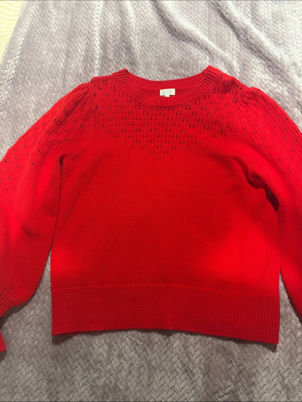 Jaclyn Smith Red Crewneck Eyelet Knit Sweater